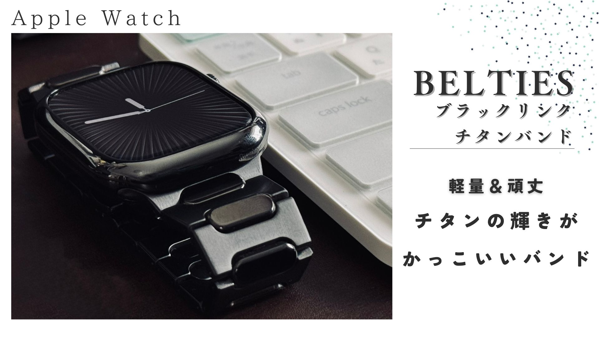 BELTIES ブラックリンクチタンバンド